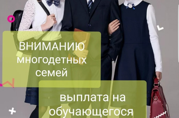 Порядок предоставления единовременных денежных выплат учащимся - отличникам и учащимся - выпускникам 11 классов получившим аттестат с отличием общеобразовательных организаций Алтайского края из многодетных семей.